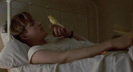 Birdy (1984)