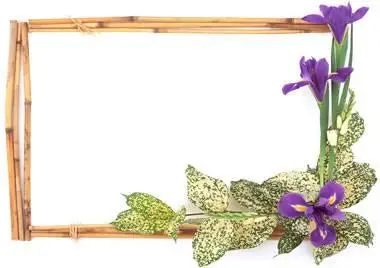 Iris Frame for Photoshop