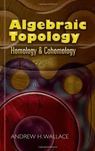 Algebraic topology: homology and cohomology (repost)