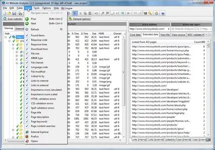 Microsys A1 Website Analyzer v2.3.0
