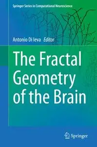 The Fractal Geometry of the Brain (Repost)