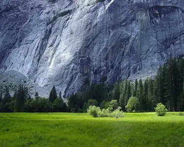 Nature Wallpaper2