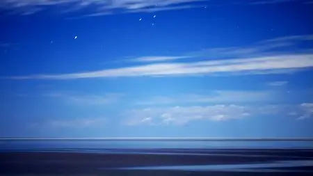 Salt (2009)