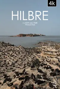 Hilbre (2015) in 4K