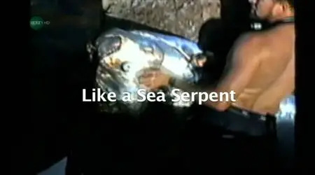UKTV - Like a Sea Serpent (2010)
