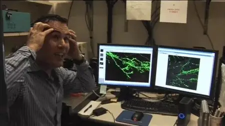 FilmForm Koln - In Search of Memory (2008)