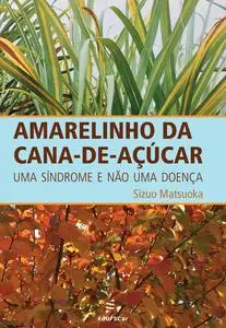 «Amarelinho da cana-de-açúcar» by Sizuo Matsuoka