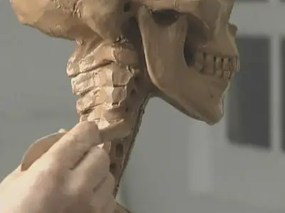 Mastering the head-skull with sculptore Andrew Cawrse
