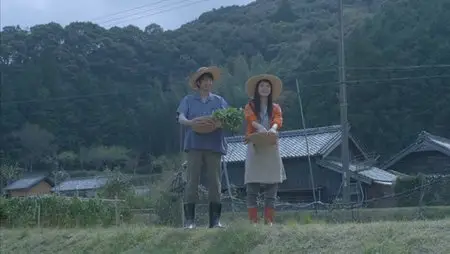 Kiiroi zô / Yellow Elephant (2013)