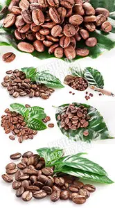 Coffee beans