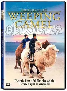 National Geographic - The Story of the Weeping Camel