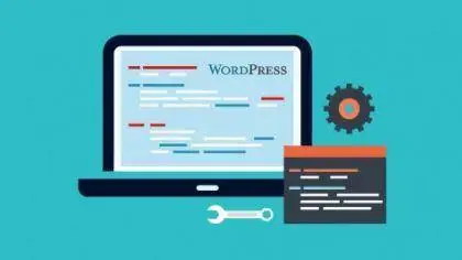 WordPress plugin development & marketing WordPress plugins (2016)