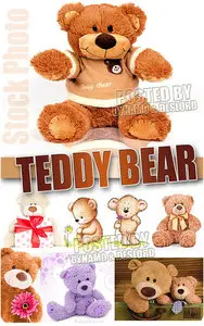 Teddy Bear - UHQ Stock Photo
