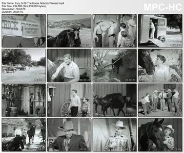 Fury (Brave Stallion) - Complete Season 3 (1957)
