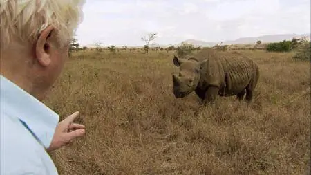 Africa. Season 1, Episode 1-6 / Africa with David Attenborough / Африка (2013) [ReUp]