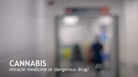 BBC Horizon - Cannabis: Miracle Medicine or Dangerous (2019)