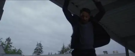 Drone (2017)