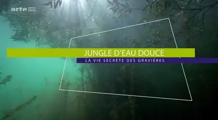 (Arte) Jungle d'eau douce - La vie secrète des gravières (2014)