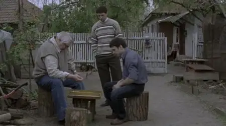 Cealalta Irina / The Other Irene (2009)