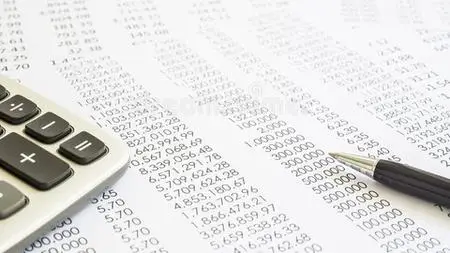 Financial Accounting: Introductory Course For Accountants