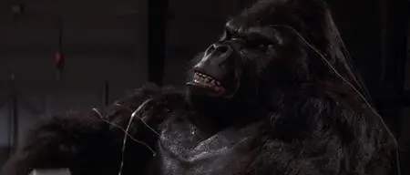 King Kong Lives (1986)