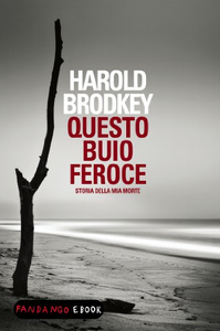 Questo buio feroce. Storia della mia morte - Harold Brodkey