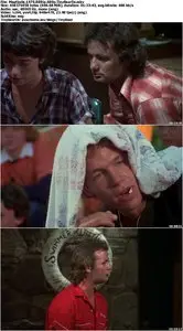 Meatballs (1979)