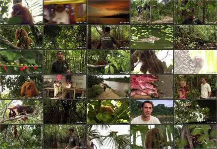 Uakari: Secrets of the English Monkey (2009)