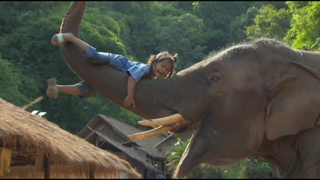 BBC - Super Smart Animals (2012)