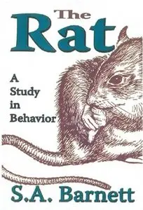 The Rat: A Study in Behavior [Repost]