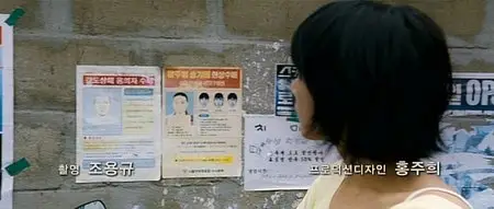 Running Turtle (2009) DVDRip - BiFOS