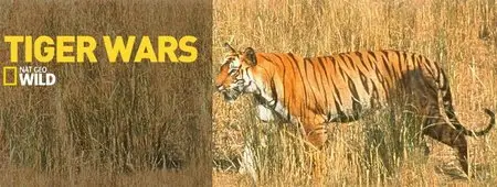 National Geographic - Wild Wild World: Tiger Wars (2015)