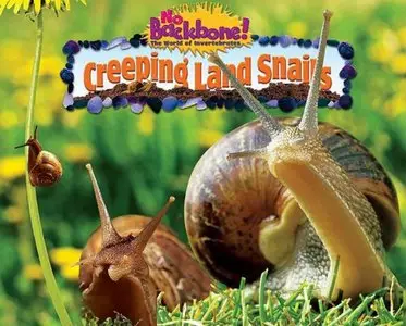 Creeping Land Snails (Repost)