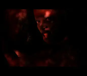 Enigma - All videoclips (2009)