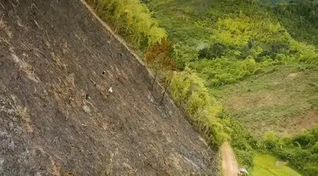 Island of Lemurs: Madagascar (2014)