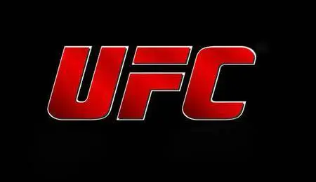 UFC 206 (2016)