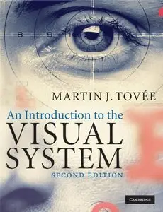 An Introduction to the Visual System (Repost)