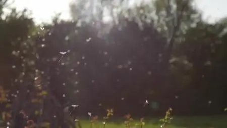 Wild Britain S01E04