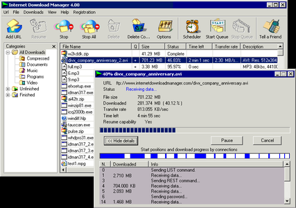 Internet Download Manager ver.5.04