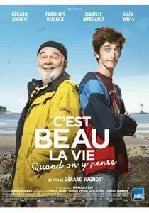 C'est beau la vie quand on y pense (2017)