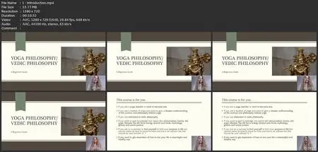 Yoga Philosophy - Complete Yoga Teacher Knowledge