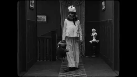 The Real Charlie Chaplin (2021)