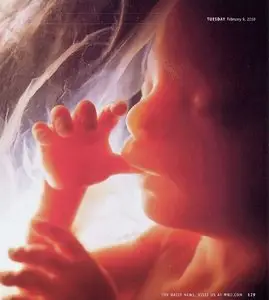 WorldNetWeekly - No.6 (6 February - 12 February 2010)