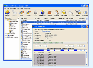 Internet Download Manager ver.5.04 Build 3