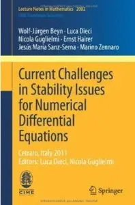 Current Challenges in Stability Issues for Numerical Differential Equation