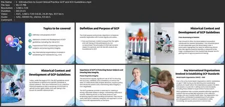 Clinical Research: Mastering Good Clinical Practices (Gcp)