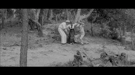 Jules and Jim (1962) [The Criterion Collection #281] [Re-UP]