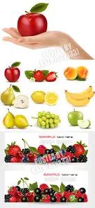 Fruits vector 6
