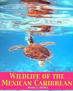 Wildlife of the Mexican Caribbean