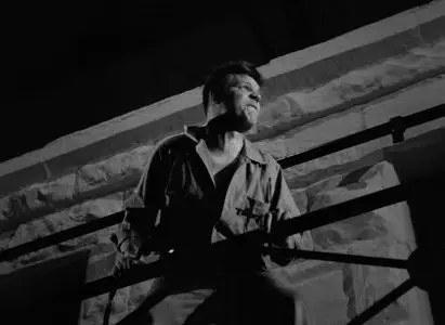 Riot in Cell Block 11 (1954) [The Criterion Collection]